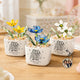 If Friends Were Flowers I'd Pick You Custom Glass Birth Flower - Personalized Plant Pot
