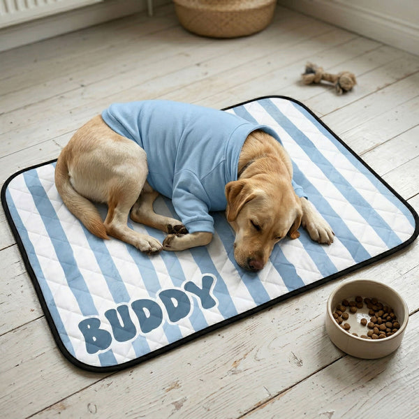Custom Retro Pet Name Cooling Mat – Personalized Pet Summer Comfort Pad