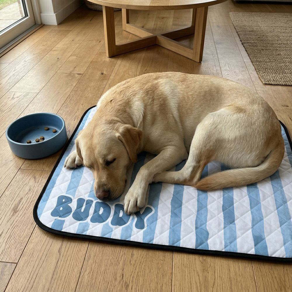 Custom Retro Pet Name Cooling Mat – Personalized Pet Summer Comfort Pad