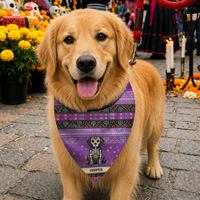 Personalized Day of the Dead Pet Bandana Collar - Mexican Fiesta Dog & Cat Collar