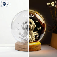 Forever In My Heart Crystal Ball Light Pet Loss Gifts - Personalized Night Light