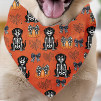Personalized Halloween Dog Bandana Collar - Cute Pumpkin, Spiderweb & Coquette Bow Pattern