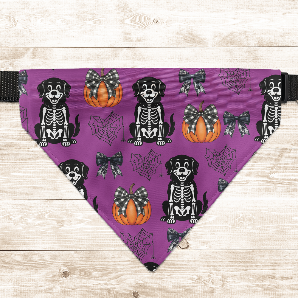 Personalized Halloween Dog Bandana Collar - Cute Pumpkin, Spiderweb & Coquette Bow Pattern