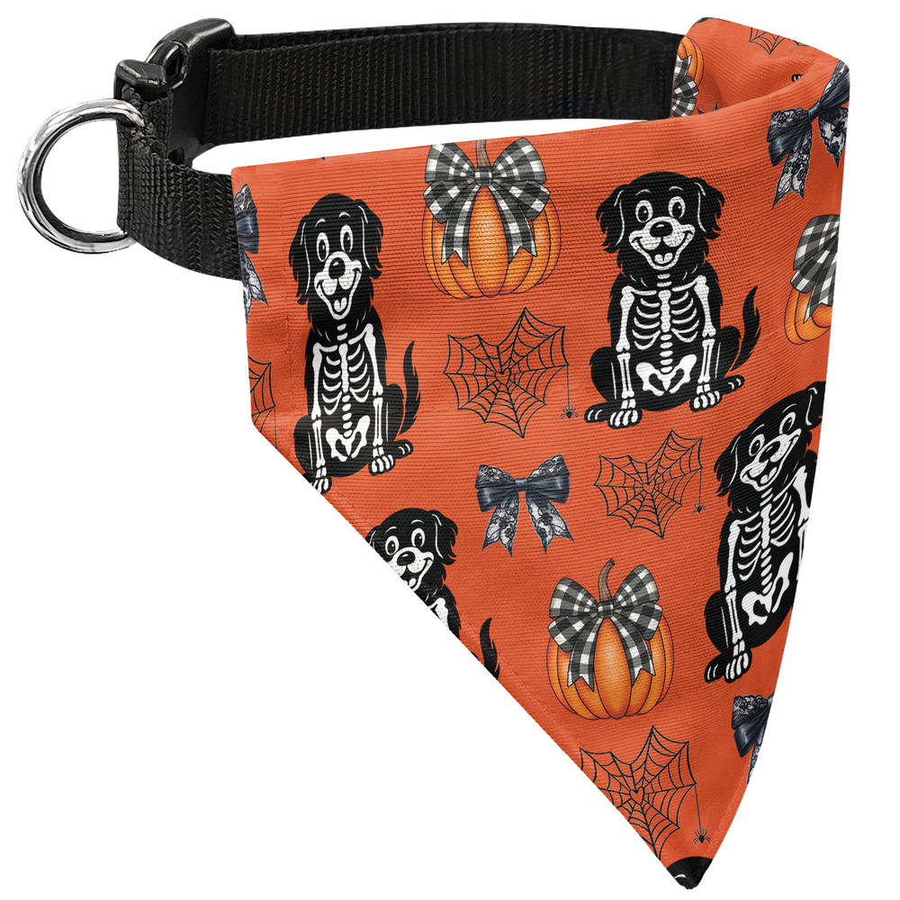 Personalized Halloween Dog Bandana Collar - Cute Pumpkin, Spiderweb & Coquette Bow Pattern